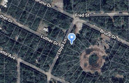LLOYD DR, Interlachen, FL 32148