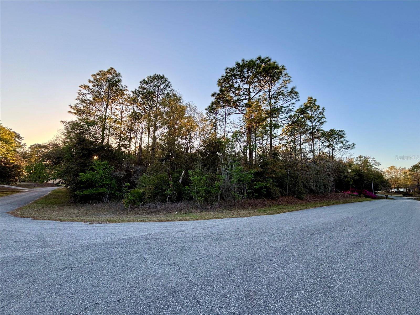 Lot 33 SW 97 PL, Dunnellon, FL 34431