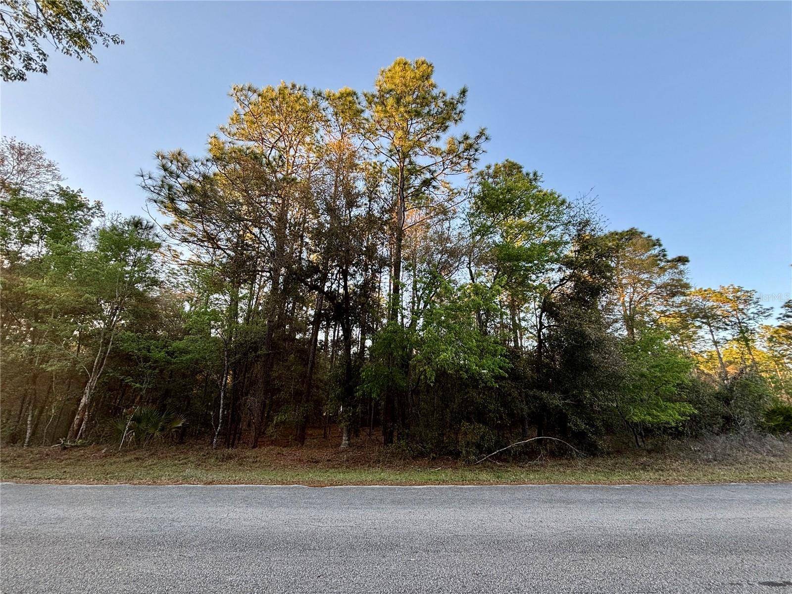 Lot 33 SW 97 PL, Dunnellon, FL 34431