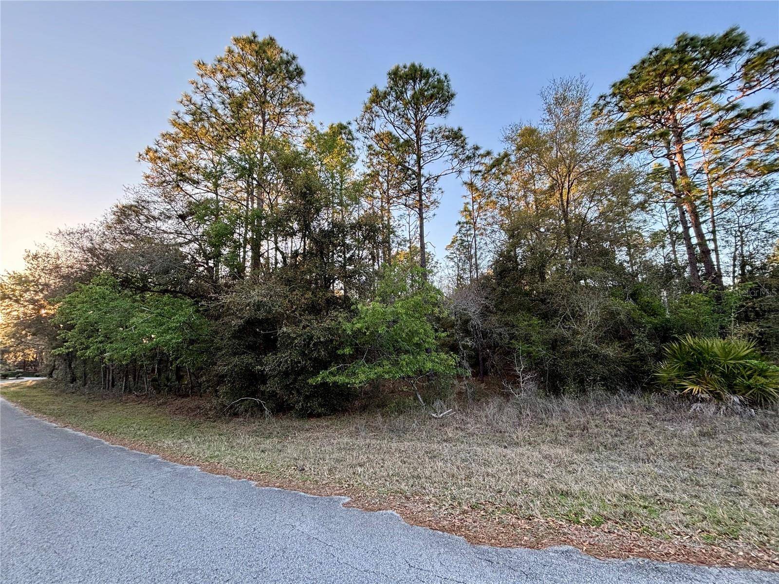 Lot 33 SW 97 PL, Dunnellon, FL 34431