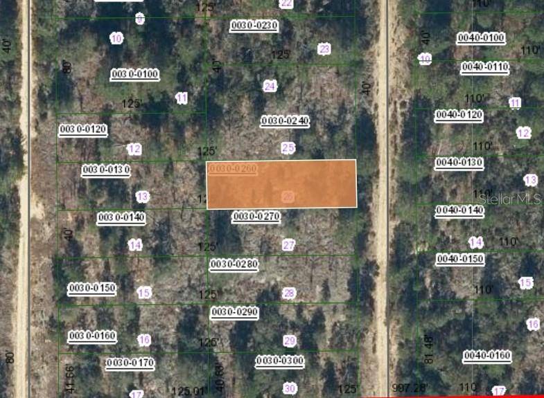 00 SW 57TH AVENUE, Interlachen, FL 32148