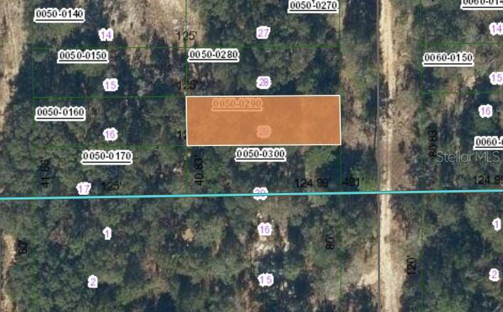 00 SW 55TH AVENUE, Interlachen, FL 32148