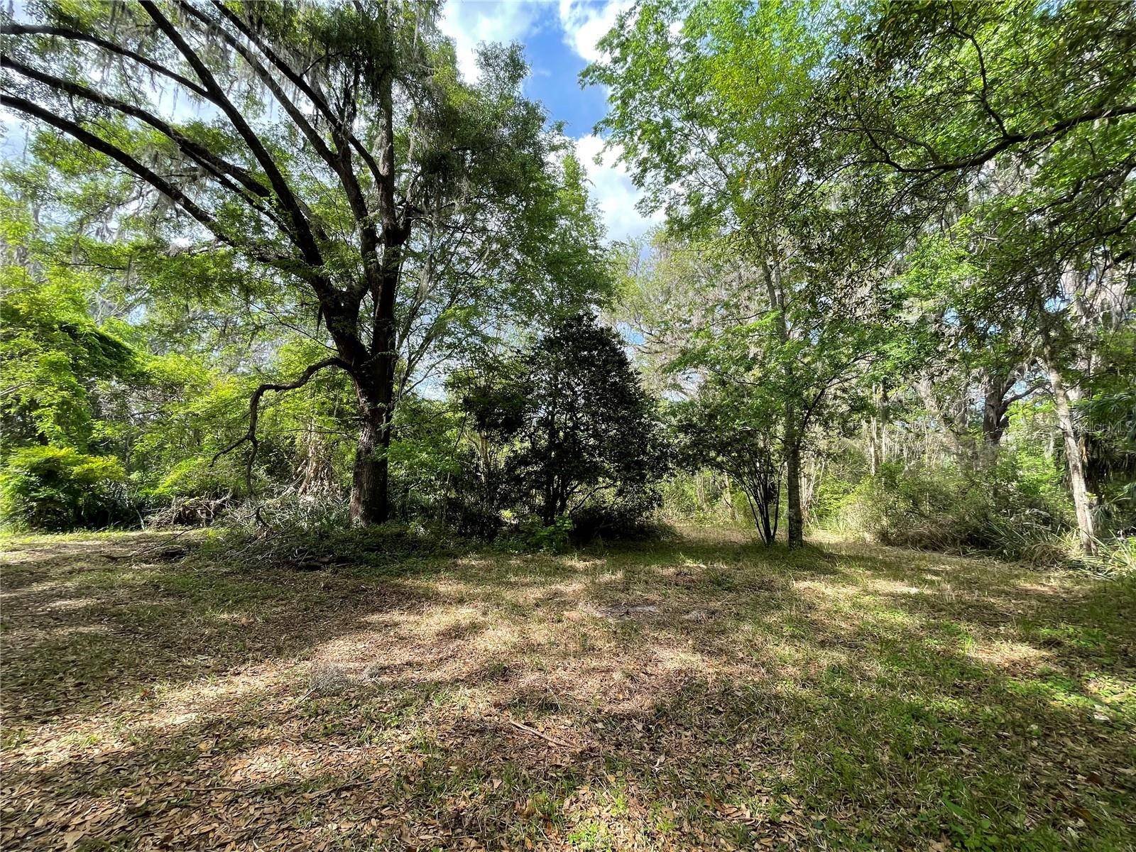 17400 NW 120TH AVE RD, Reddick, FL 32686