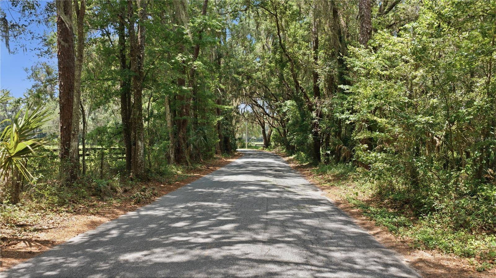 17400 NW 120TH AVE RD, Reddick, FL 32686