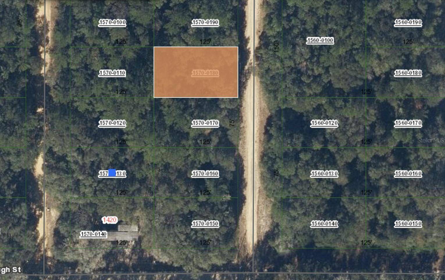 00 DONYS AVE, Interlachen, FL 32148