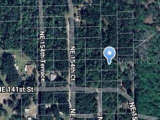 NE 153RD CT, Fort Mc Coy, FL 32134