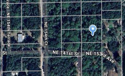NE 153RD AVE, Fort Mc Coy, FL 32134