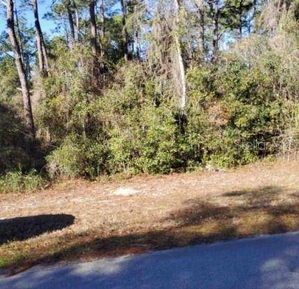 Lot 138 SE 168TH TER, Ocklawaha, FL 32179