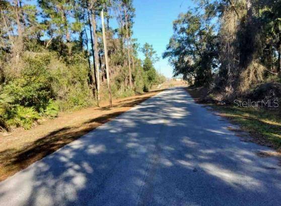 Lot 138 SE 168TH TER, Ocklawaha, FL 32179