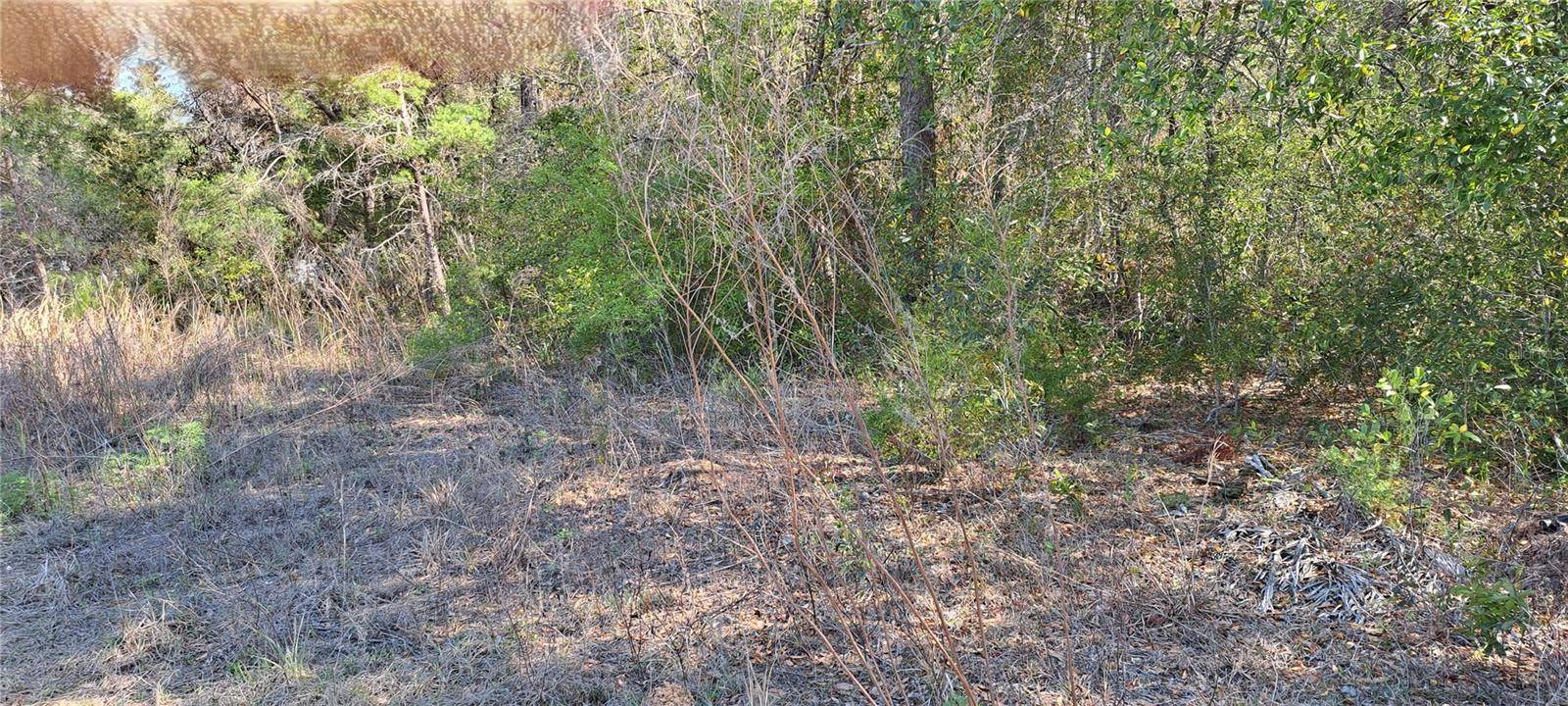 3844 E CRYSTAL LN, Inverness, FL 34452