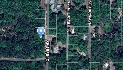 185TH CT, Ocklawaha, FL 32179