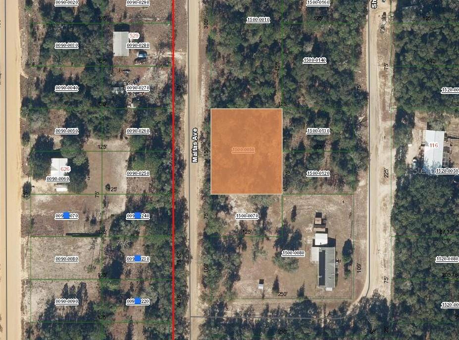 00 MALTAS AVE, Interlachen, FL 32148