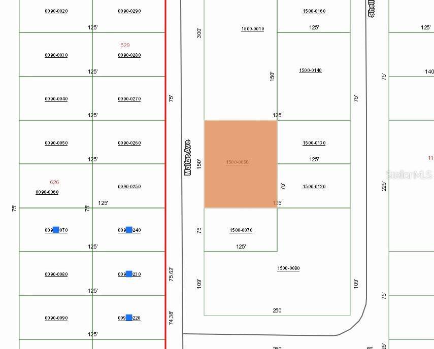 00 MALTAS AVE, Interlachen, FL 32148