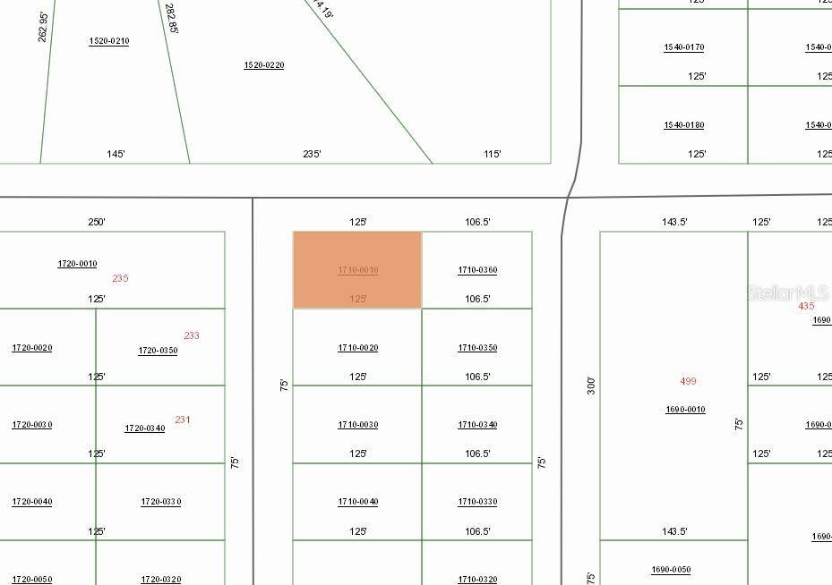 00 LENORE AVE, Interlachen, FL 32148