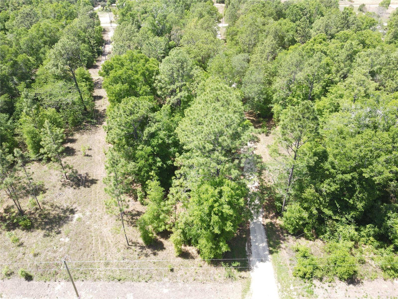 SW 29 LN, Ocala, FL 34481