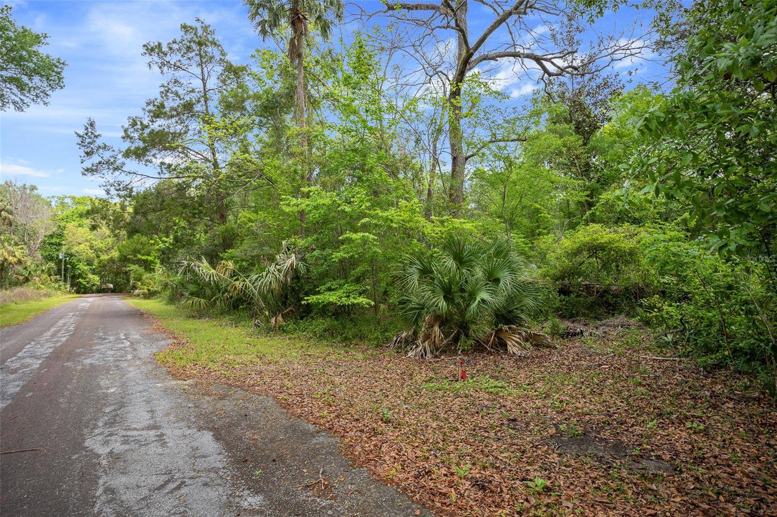 5043 S PALO VERDE PT, Homosassa, FL 34448