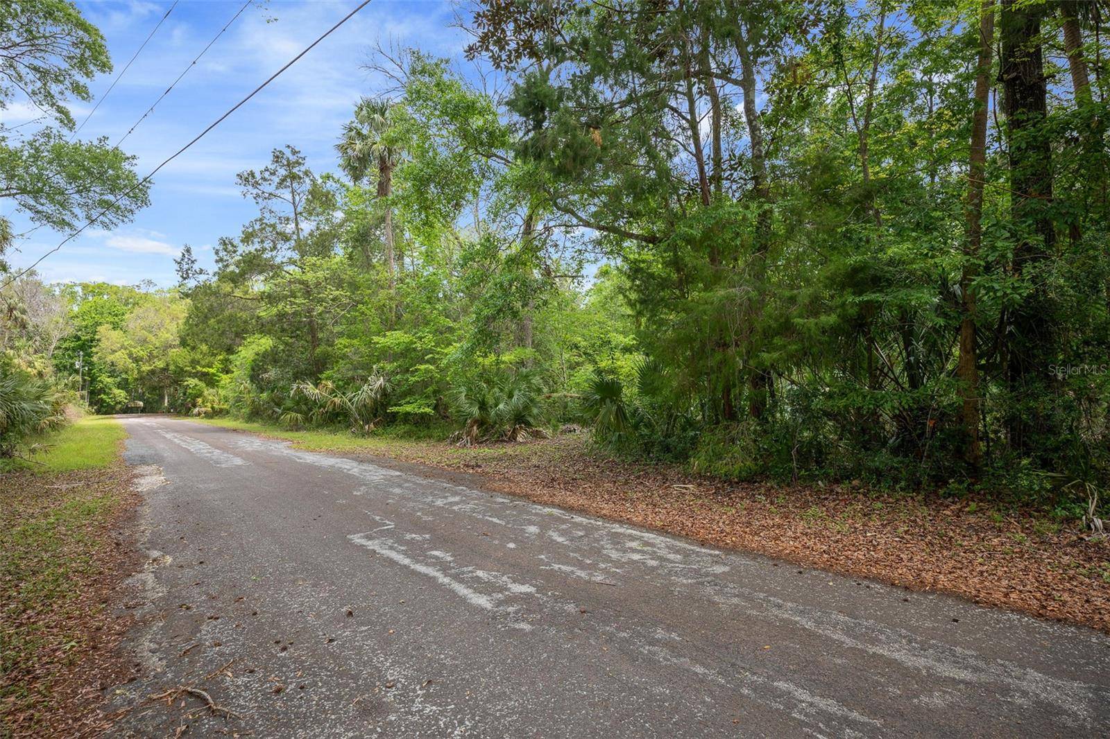 5043 S PALO VERDE PT, Homosassa, FL 34448