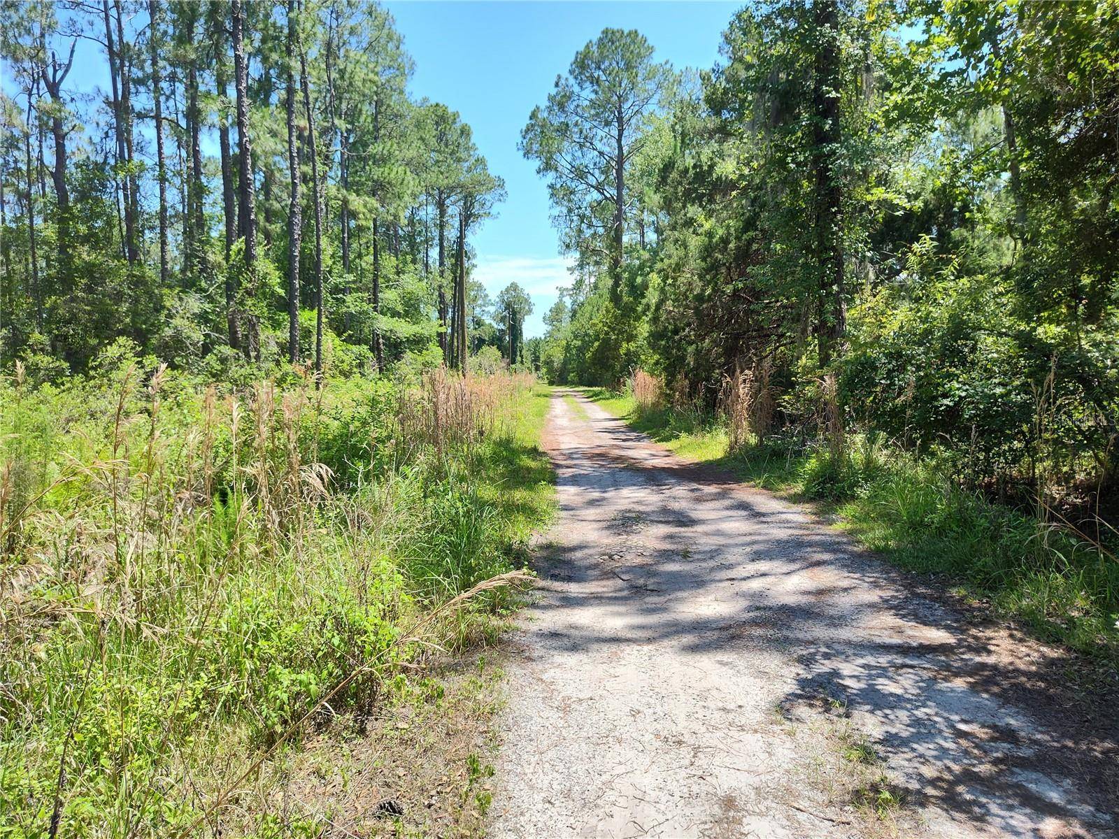 0000 NE 66TH AVE, Citra, FL 32113
