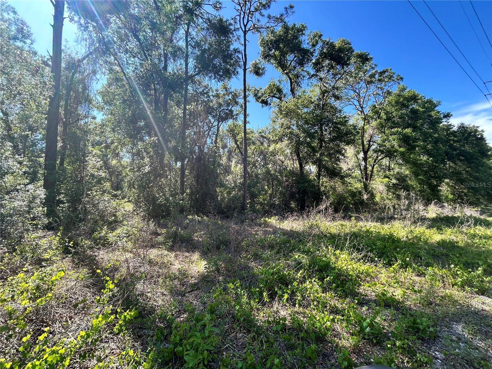 9319 S FLORIDA AVE, Floral City, FL 34436