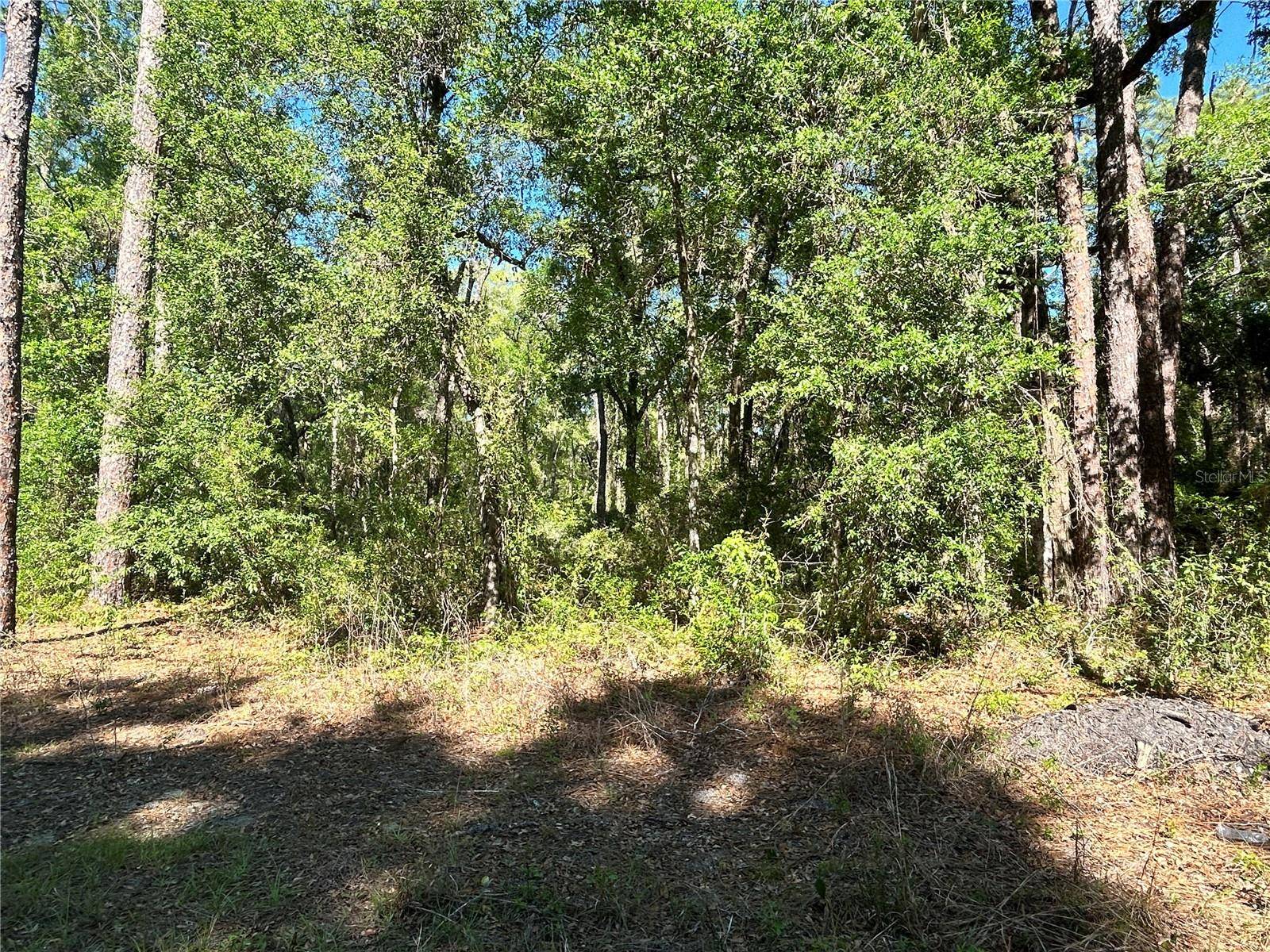 9319 S FLORIDA AVE, Floral City, FL 34436