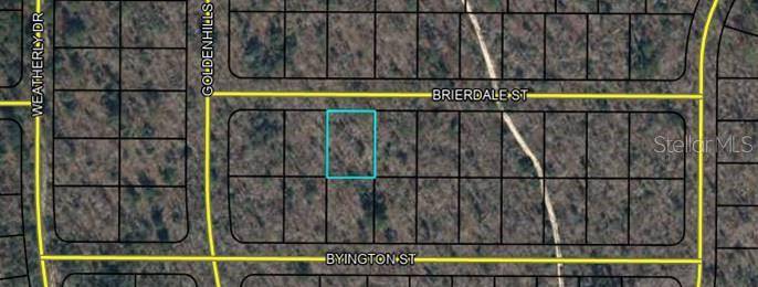 Lot 3 BRIERDALE ST, Chipley, FL 32428