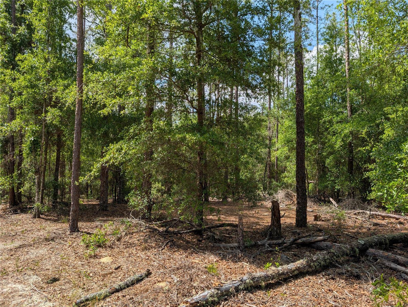 TBD SW 93RD LANE, Dunnellon, FL 34431