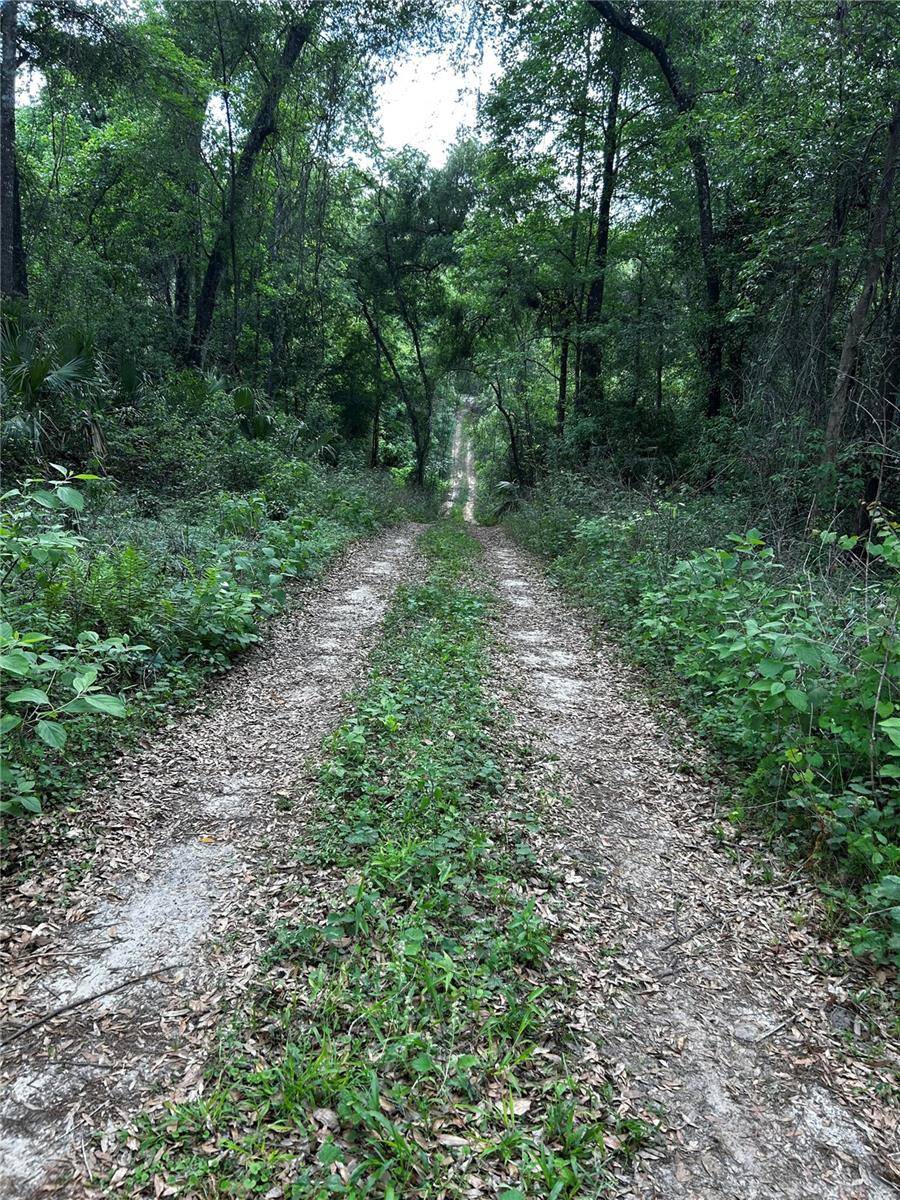 TBD NW 123RD PL, Citra, FL 32113