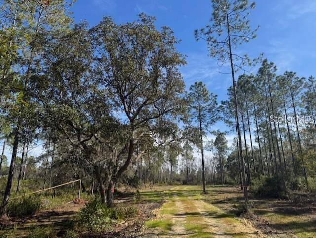 NE 150TH AVE RD #LOT 1, Fort Mc Coy, FL 32134