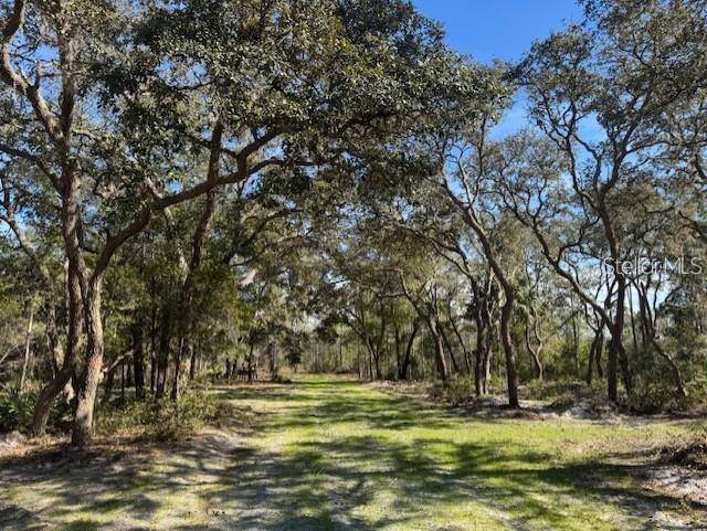 NE 150TH AVE RD #LOT 1, Fort Mc Coy, FL 32134
