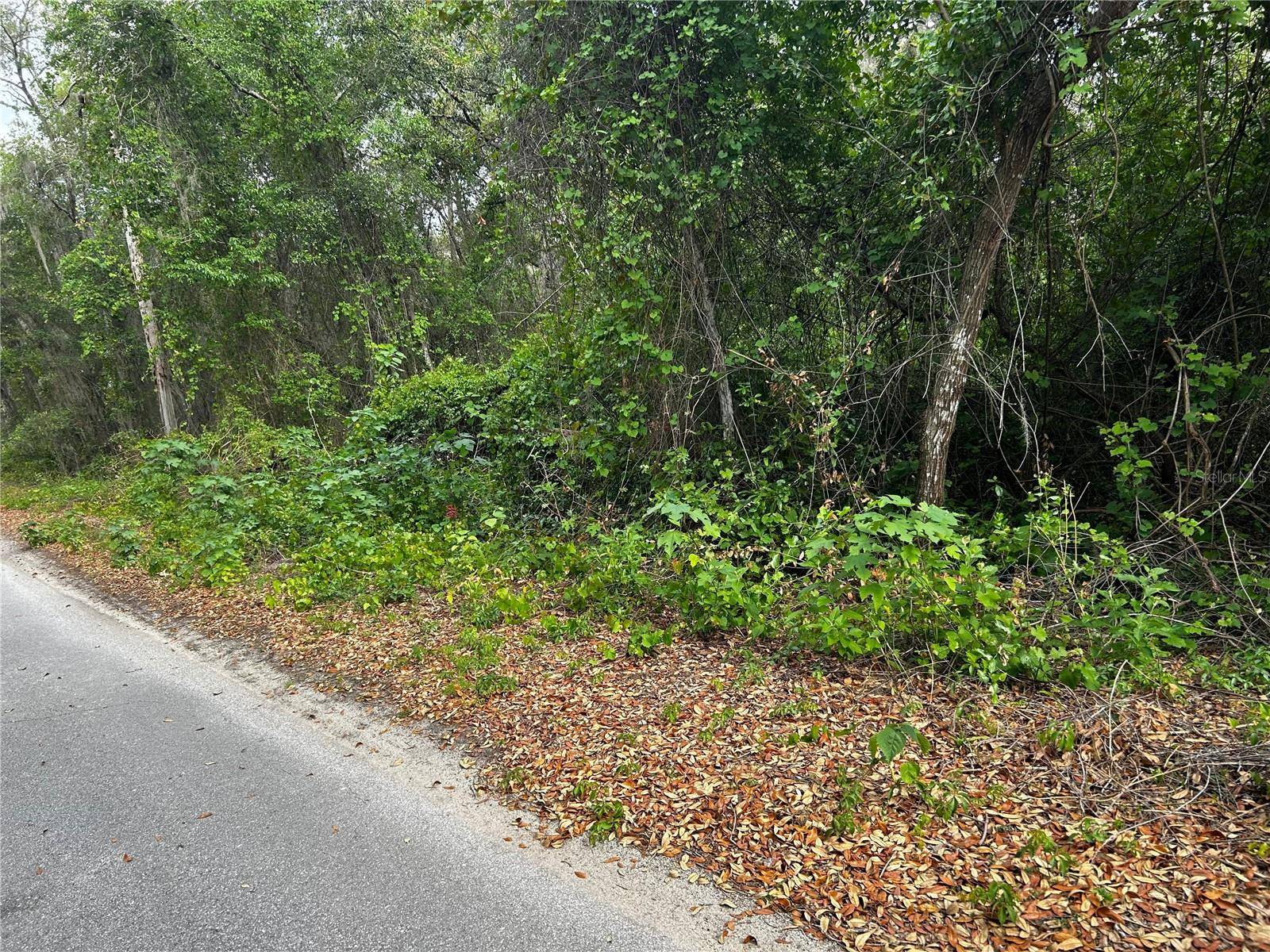 TBD SE 52ND PL, Ocklawaha, FL 32179