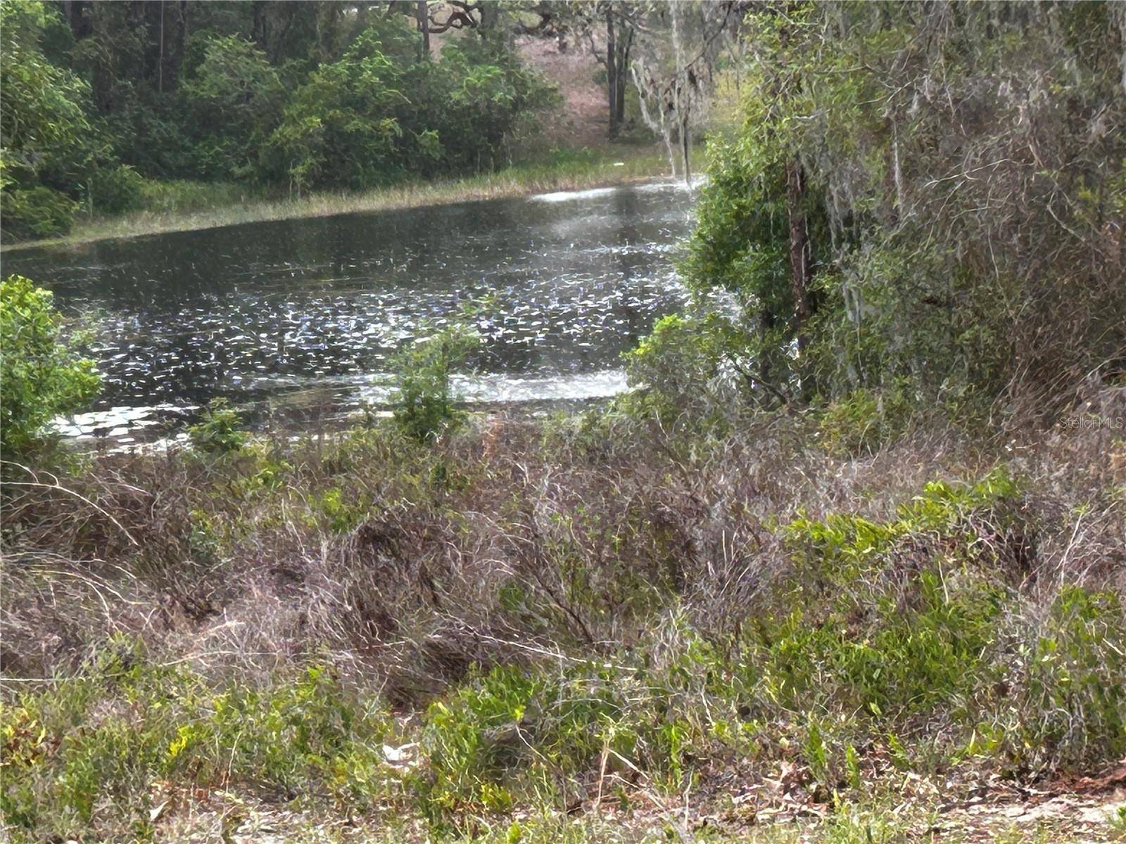 TBD SE 52ND PL, Ocklawaha, FL 32179