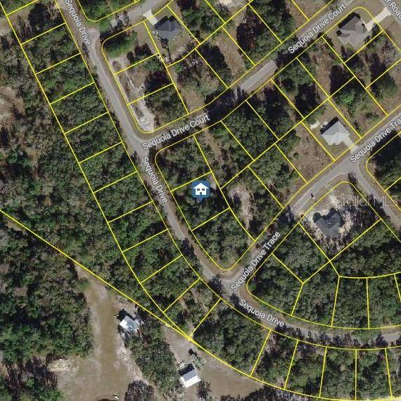 TBD SEQUOIA DR #Lot 16, Ocklawaha, FL 32179