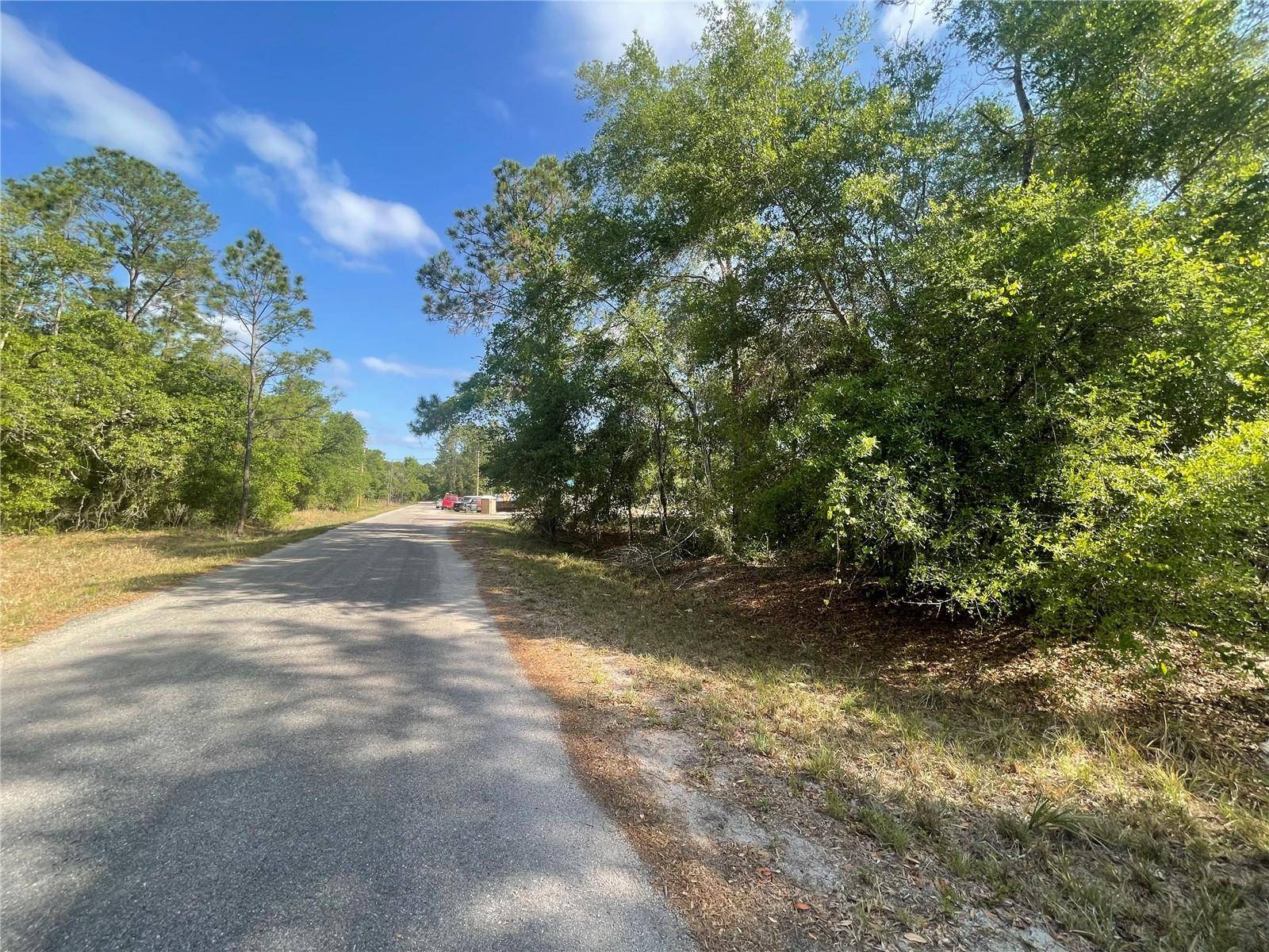 TBD SEQUOIA DR #Lot 16, Ocklawaha, FL 32179