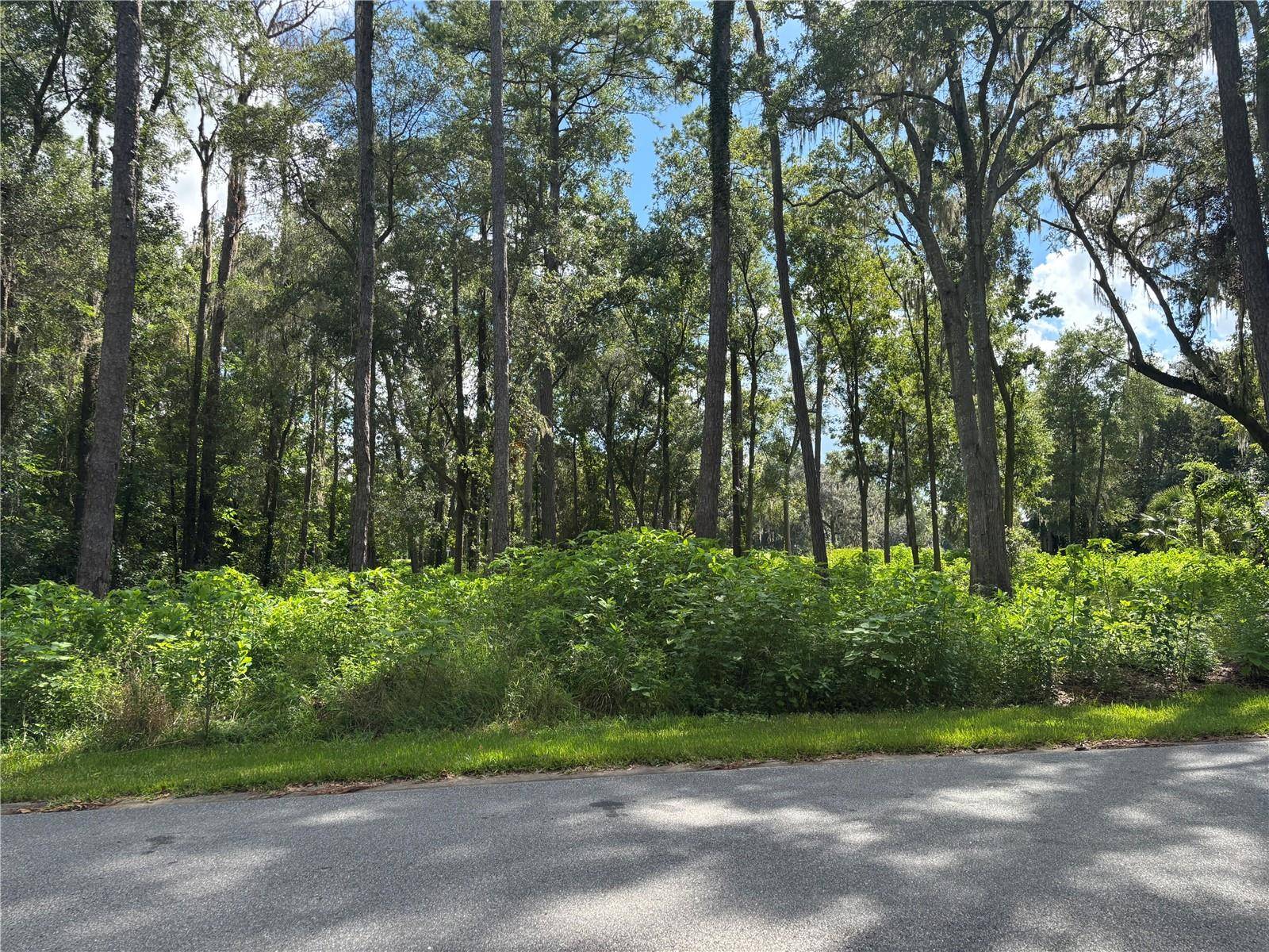 1555 SE 73RD PL, Ocala, FL 34480