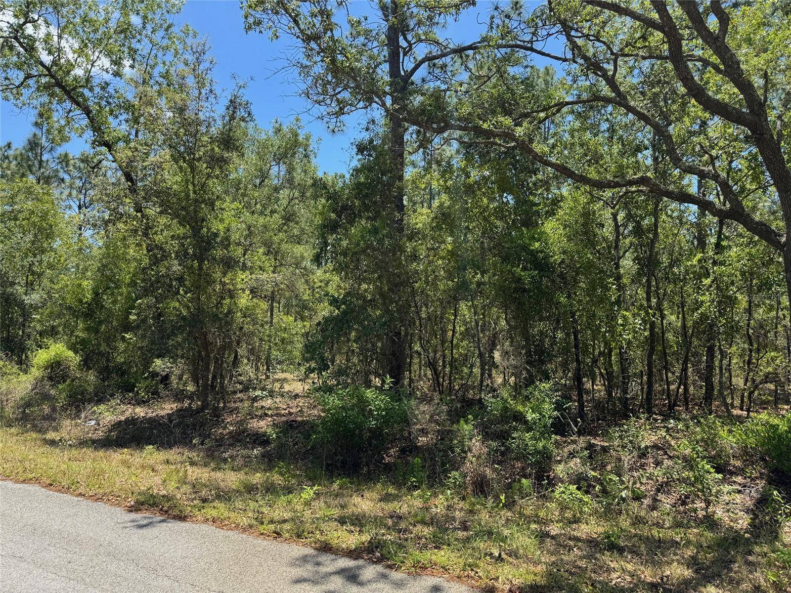 Lot 15 NW HILLSDALE AVE, Dunnellon, FL 34431