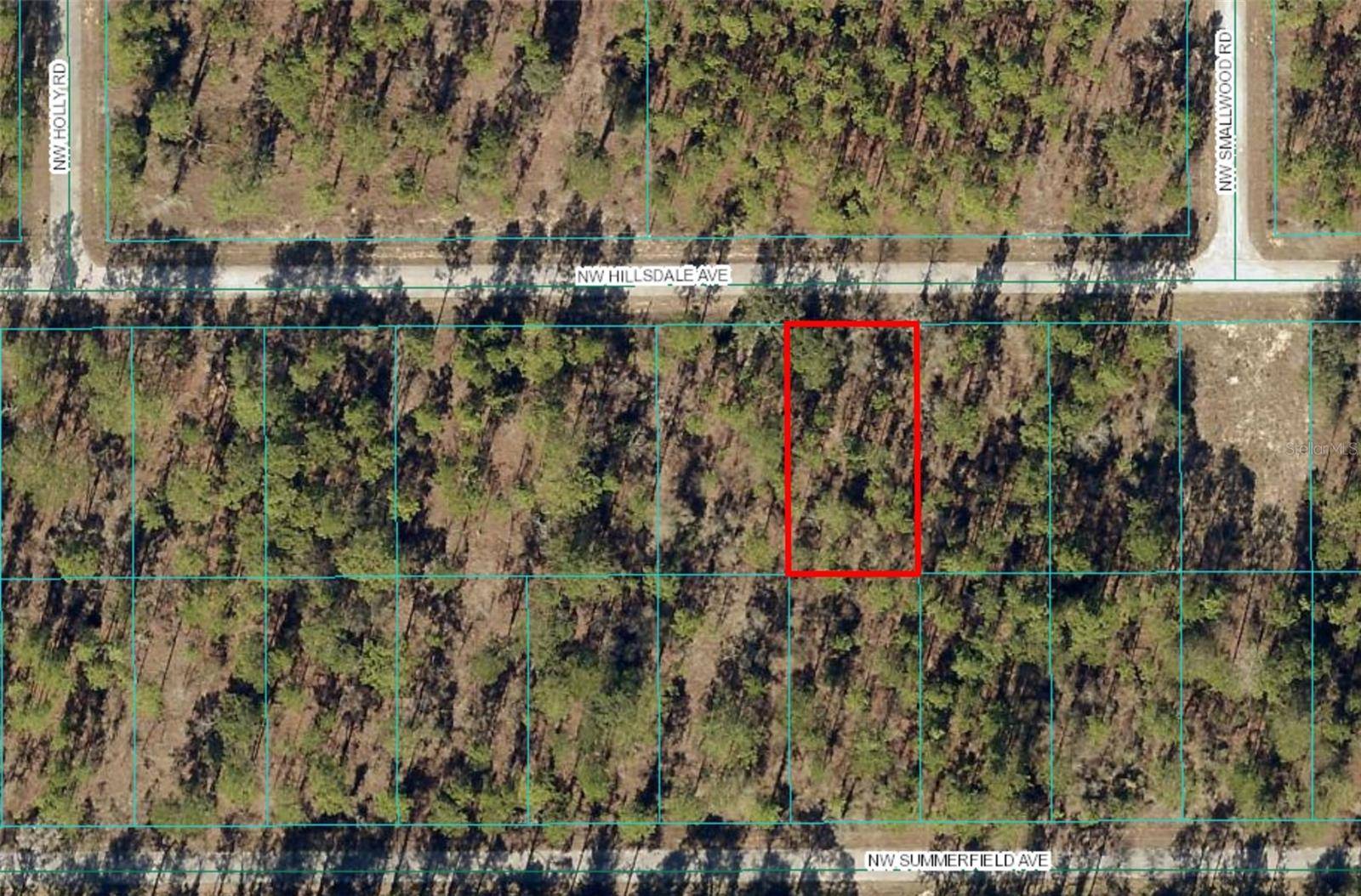 Lot 15 NW HILLSDALE AVE, Dunnellon, FL 34431