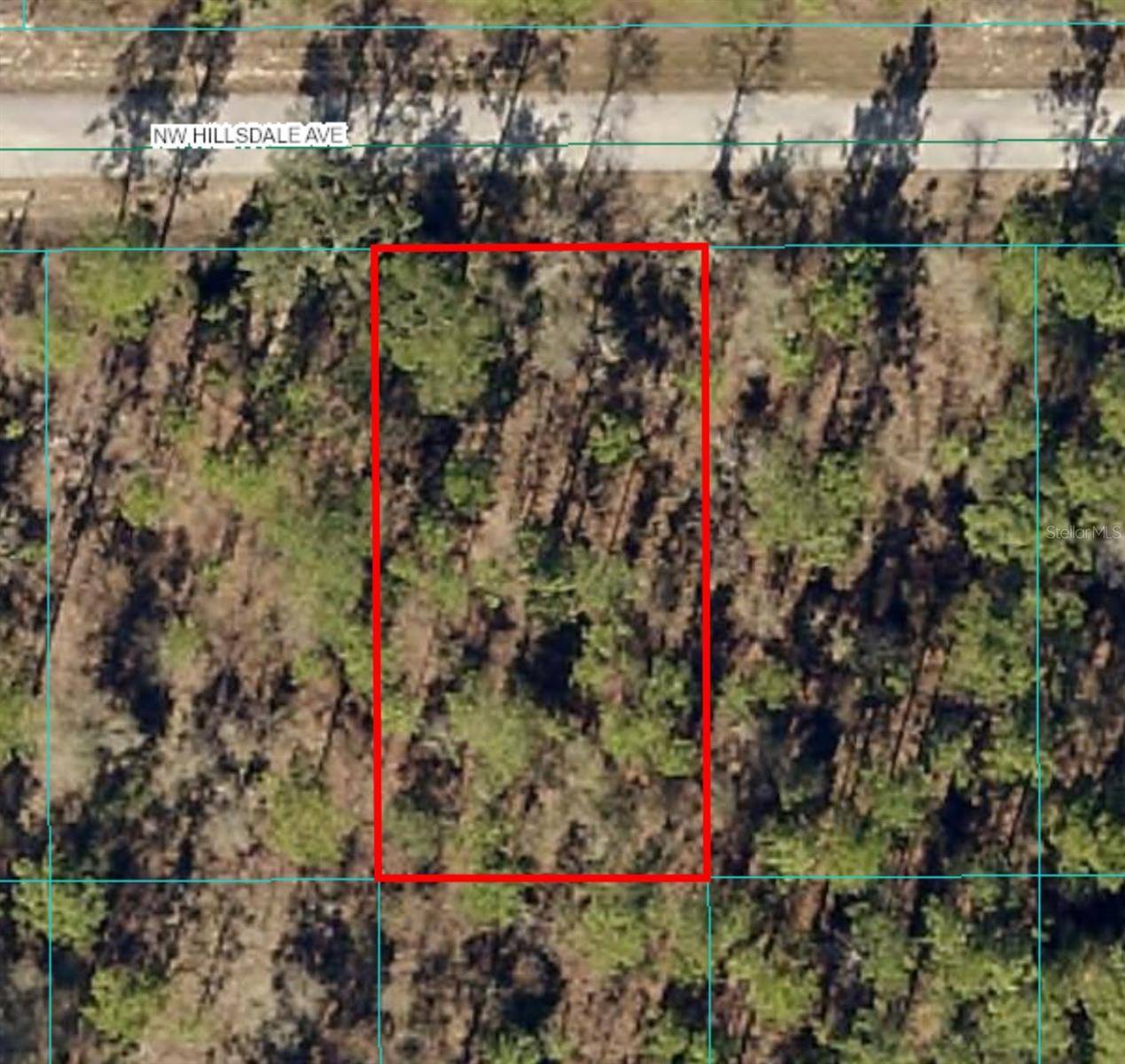 Lot 15 NW HILLSDALE AVE, Dunnellon, FL 34431
