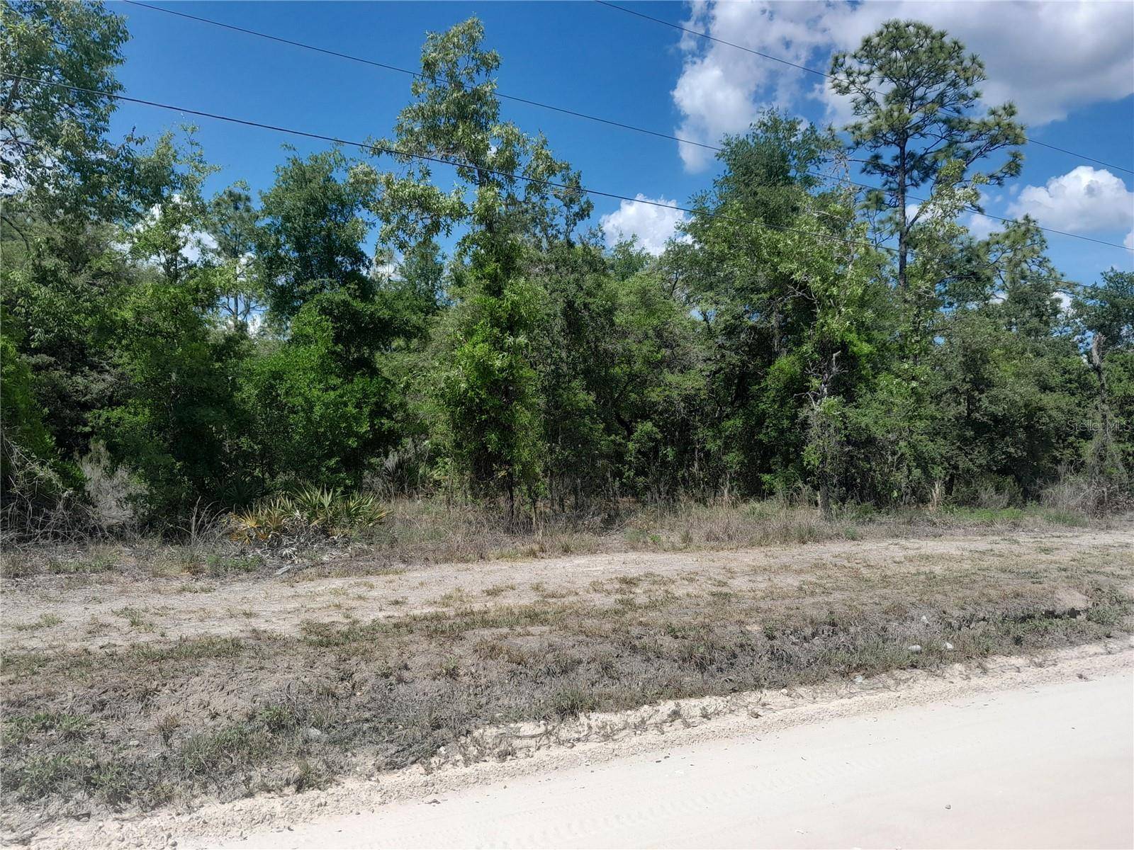 tbd NE 63RD PL, Williston, FL 32696