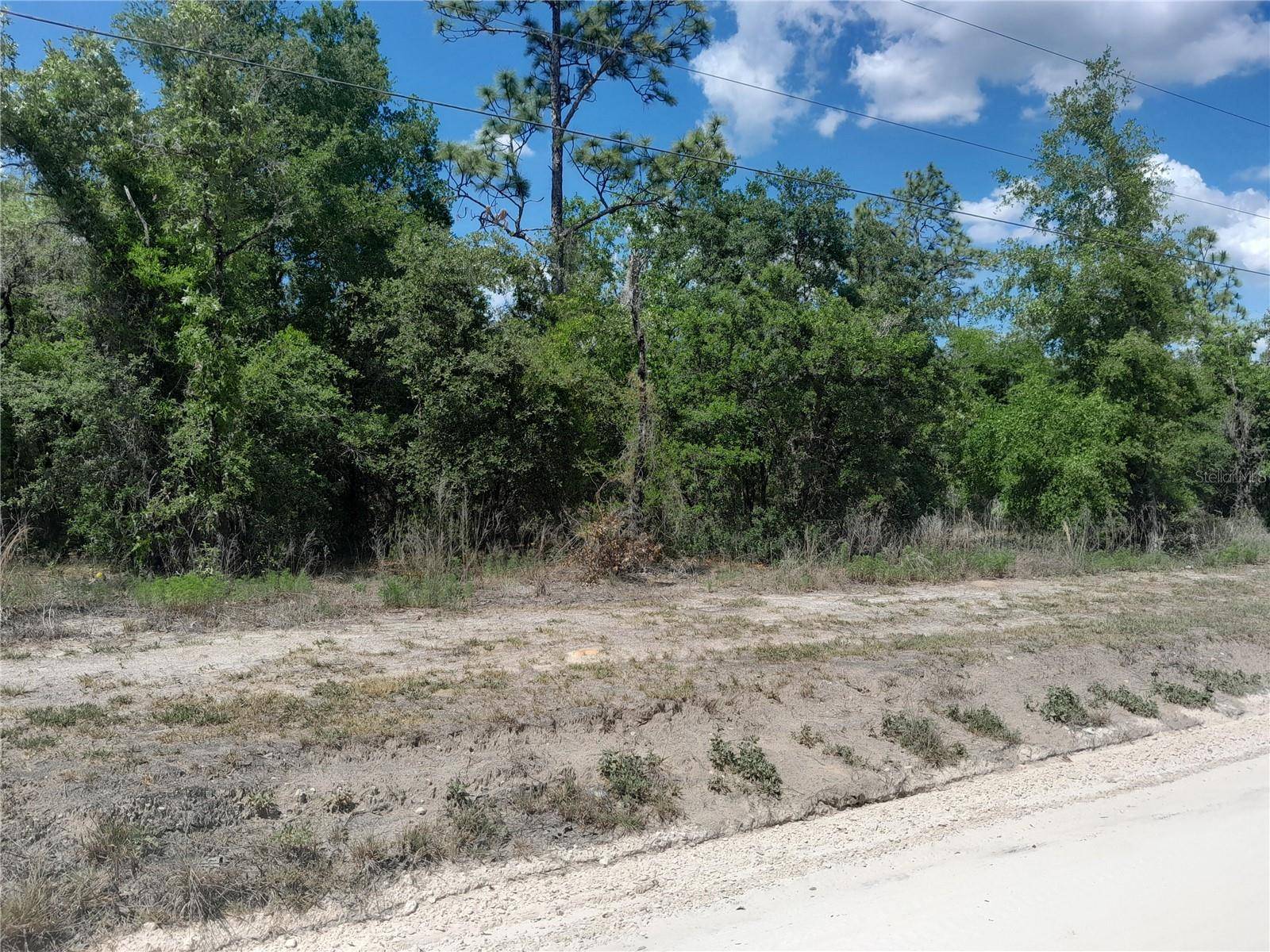 tbd NE 63RD PL, Williston, FL 32696