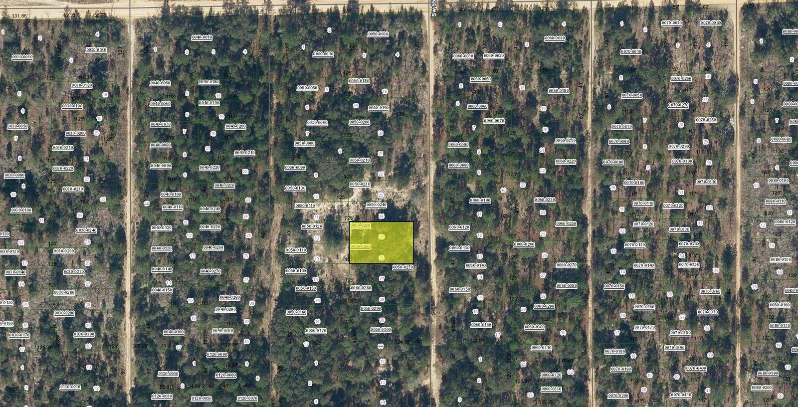 SW 55TH AVE, Interlachen, FL 32148