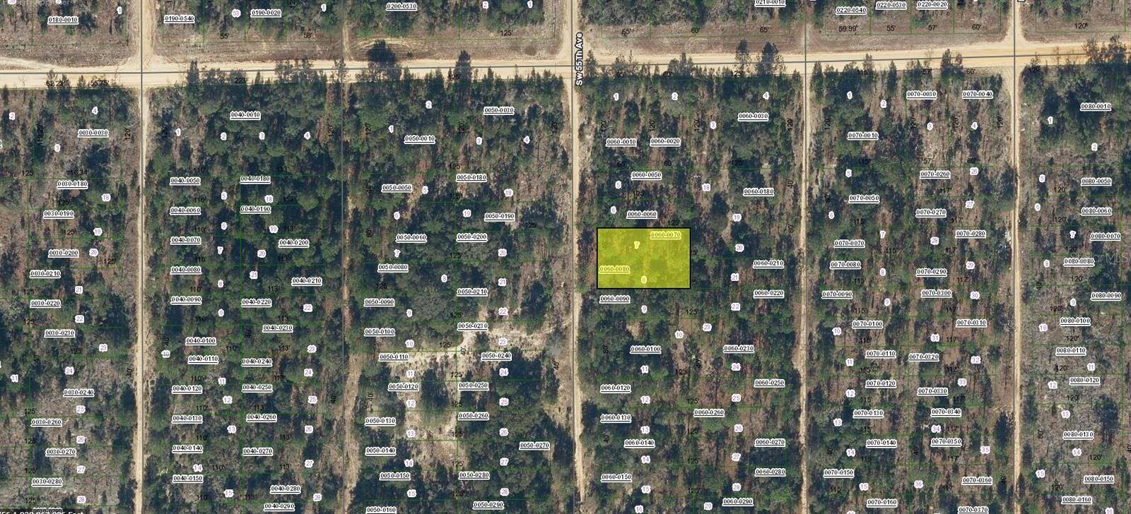 SW 55TH AVE, Interlachen, FL 32148