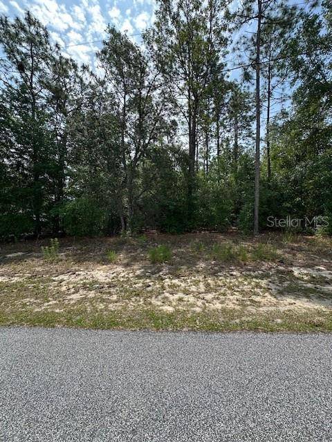 920 W RUM PL, Dunnellon, FL 34434