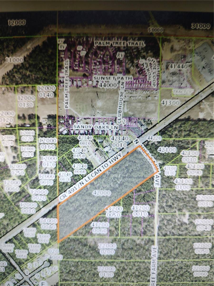6698 N TREEFARM AVE, Beverly Hills, FL 34465