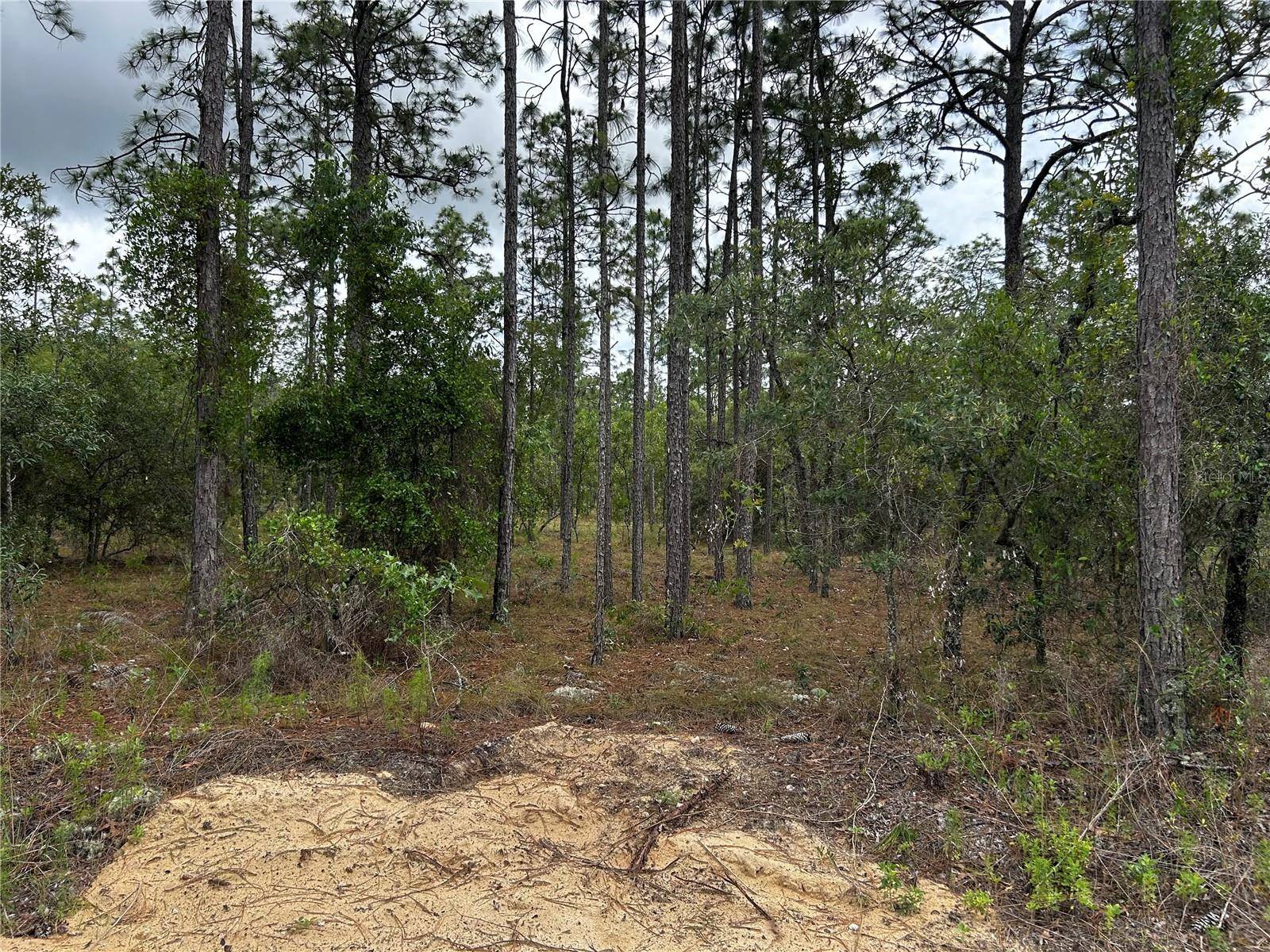 TBD NW FOXGLOVE LN, Dunnellon, FL 34431
