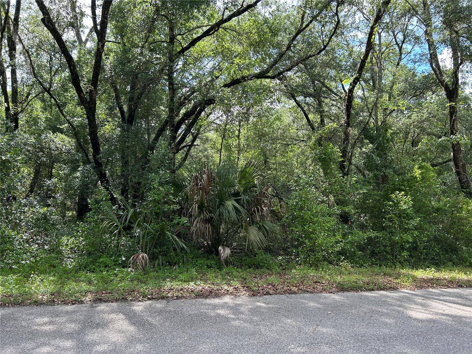 TBD UPLANDS AVE, Dunnellon, FL 34431