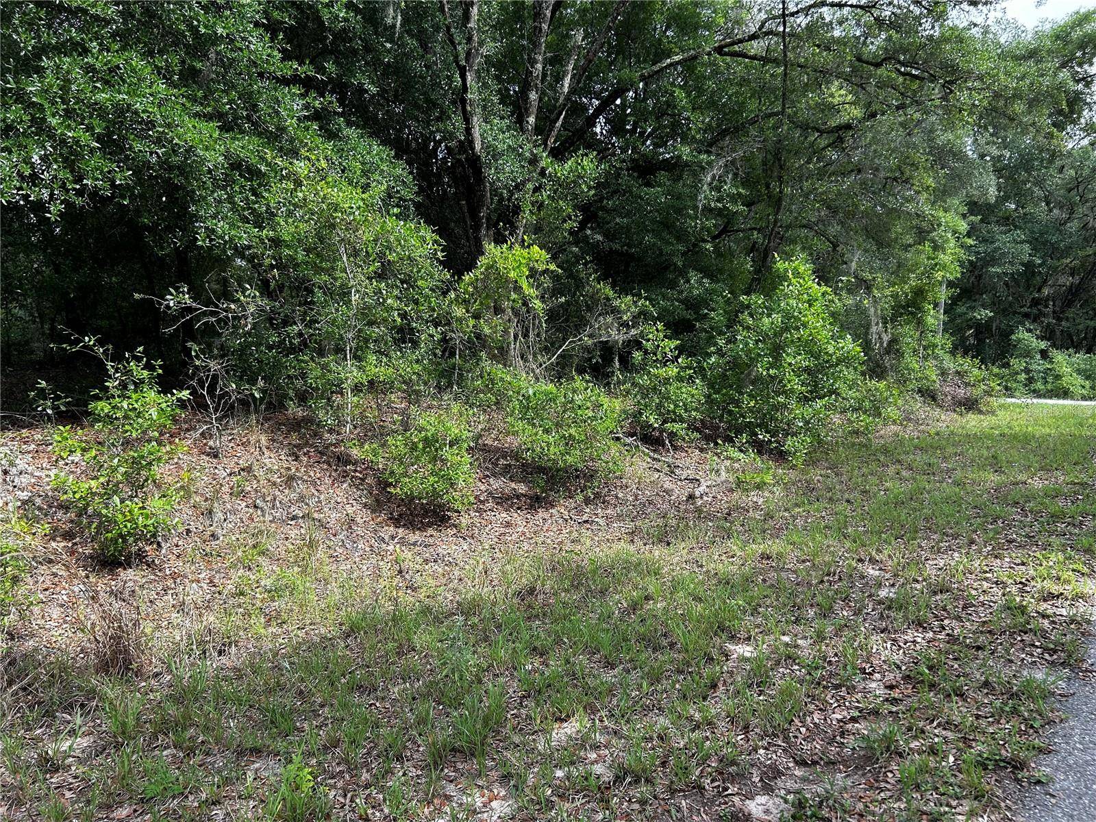 TBD UPLANDS AVE, Dunnellon, FL 34431
