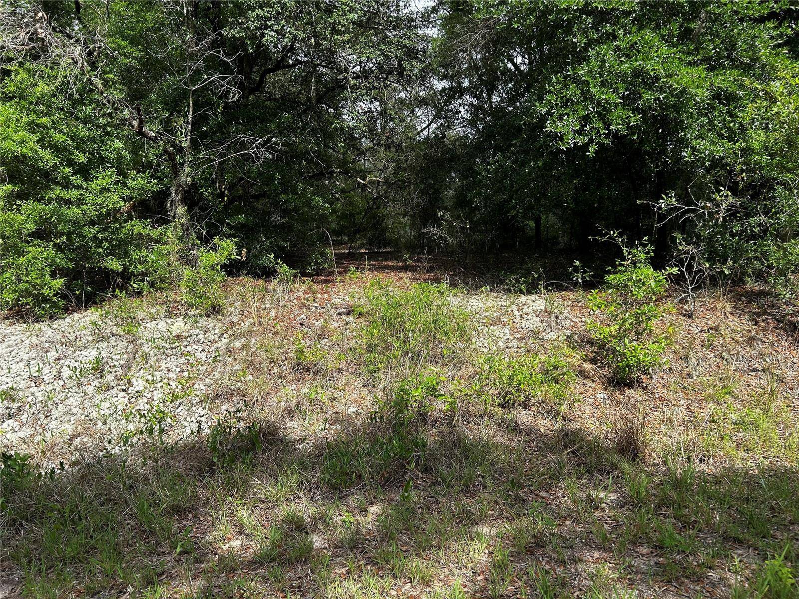 TBD UPLANDS AVE, Dunnellon, FL 34431