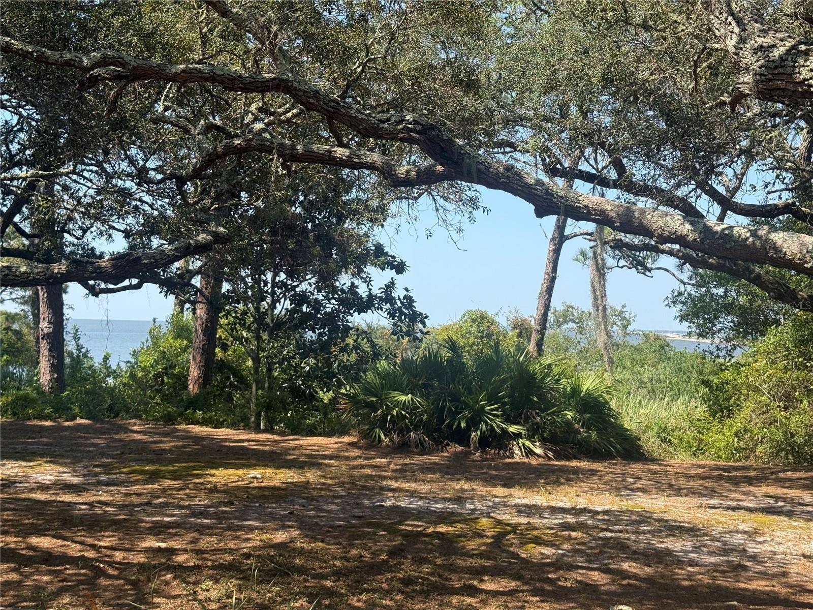 17 S BAYSHORE DR, Eastpoint, FL 32328