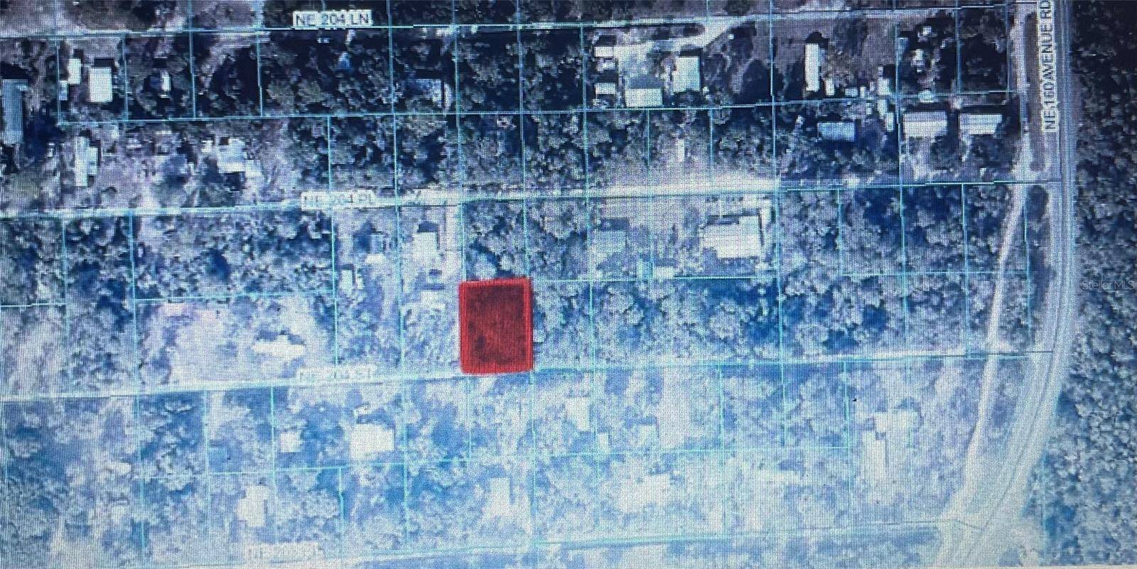 TBD NE NE 204TH ST, Fort Mc Coy, FL 32134