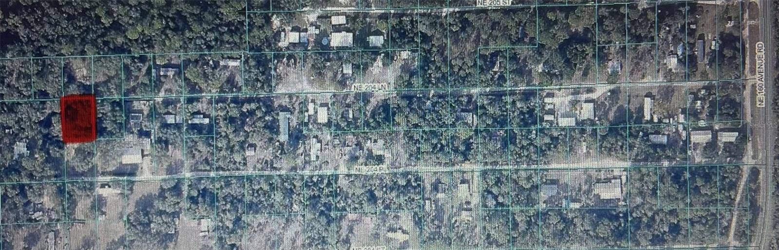 TBD NE NE 204TH LN, Fort Mc Coy, FL 32134